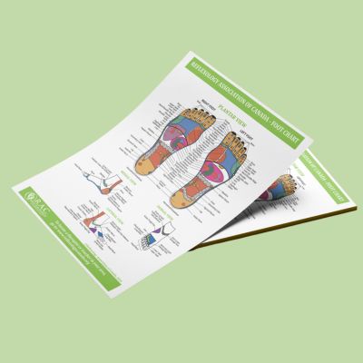 FLYERS – RAC Foot Reflexology Chart, 2024