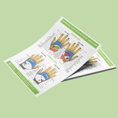 FLYERS – RAC Hand Reflexology Chart, 2024