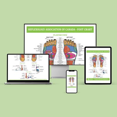 DIGITAL – RAC Foot Reflexology Chart – mockup