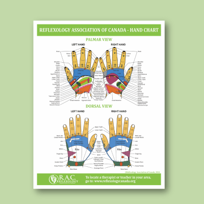 RAC Hand Reflexology Chart - mockup