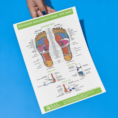 Mock up-foot-chart-reflexology-store-shop-11×18 (1)