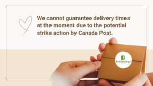 ReflexologyStore.ca 2024-We cannot guarantee delivery times