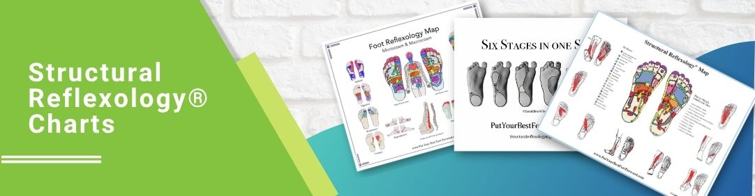 Structural Reflexology® Charts